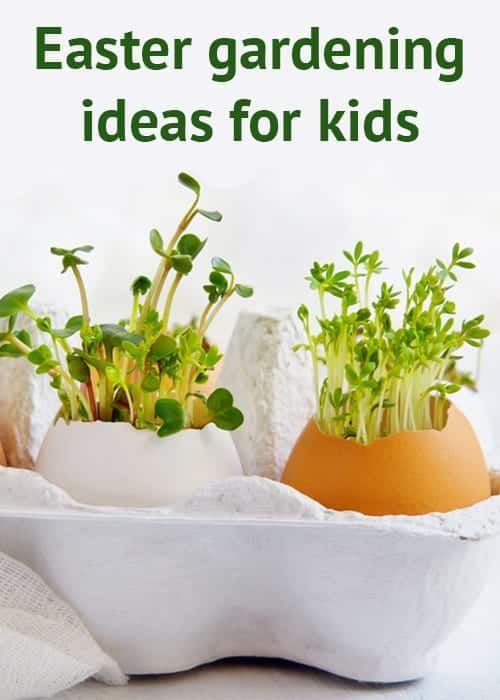 What are some garden activities for kids?