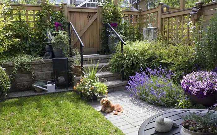 Top 10 tips for small garden design to transform your space