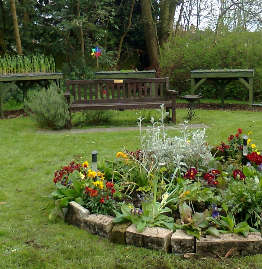 The garden this year, including the bench with the plaque