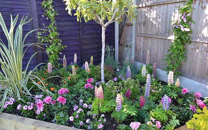 love your garden planting list how to get the look garden design style