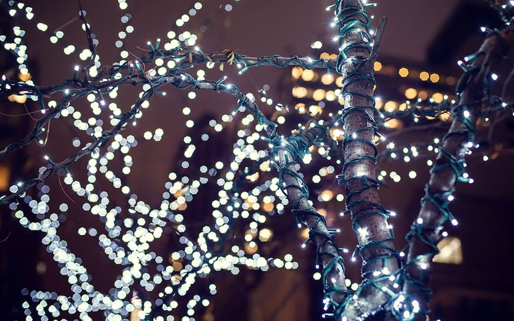 Best Outdoor Christmas Lights for your Garden - David Domoney