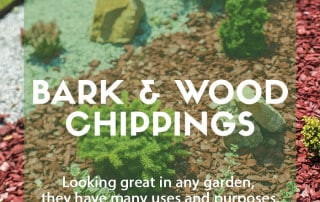 Bark wood chippings