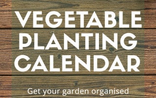 veg planting calendar