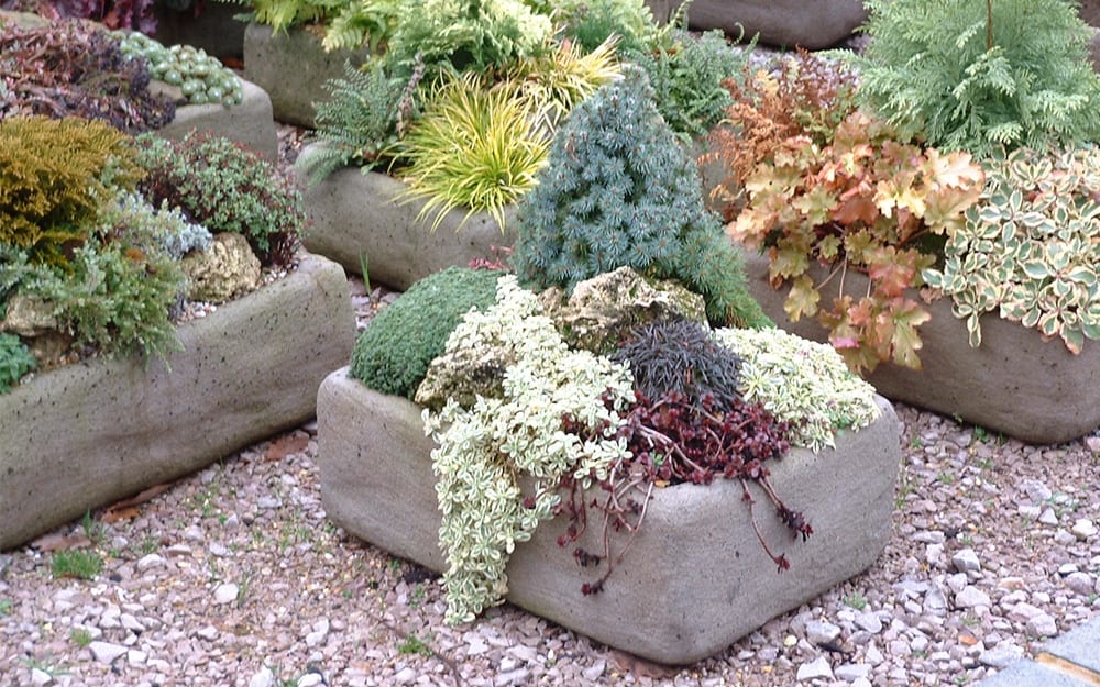 How To Plant Up An Old Sink Toilet Or Bidet David Domoney