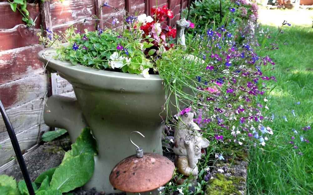 How To Plant Up An Old Sink Toilet Or Bidet David Domoney