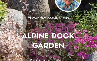 alpine rock garden feature