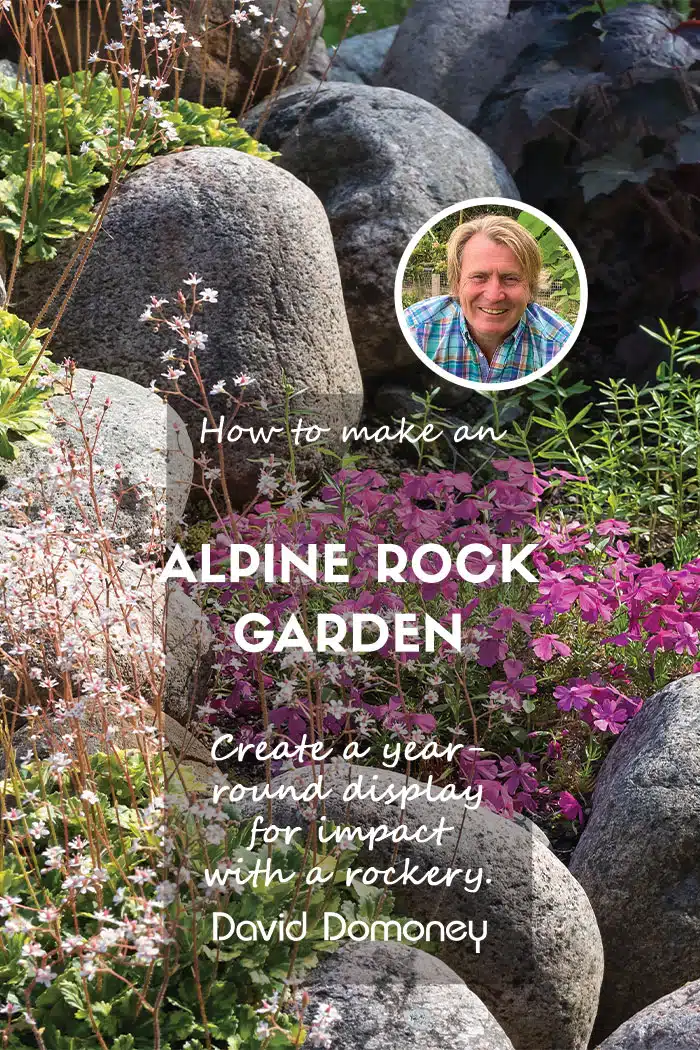 alpine rock garden feature