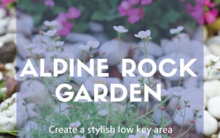 Alpine rockery garden