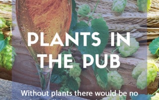 Plants in the pub feature