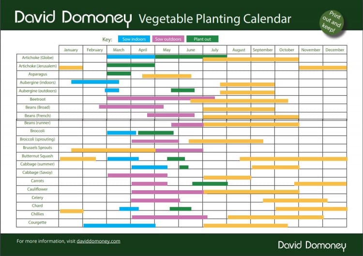 Vegetable planting calendar 2020