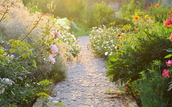 Ideas To Create A Cottage Garden, How To Make A Cottage Garden Uk