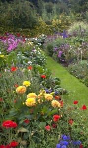 How to create a herbaceous border on a budget - the best gardening tips to create a herbaceous perennial border with garden design tricks and ideas