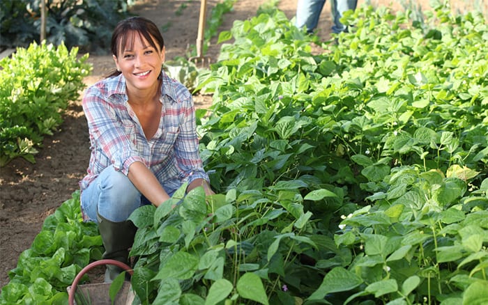 woman-in-veg-plot-allotment