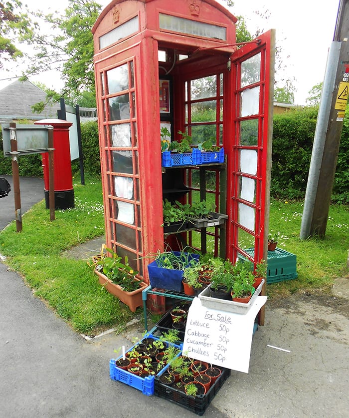 minety preschool web David Domoney Cultivation Street School