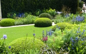 You don't need to be a Chelsea Flower Show designer to get a great garden