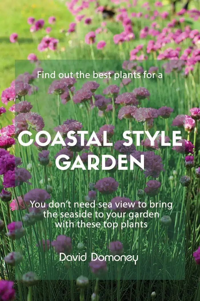 Coastal Garden The  Best Plants To Get A Seaside Style David Domoney
