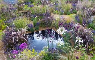 The One Show garden RHS Hampton Court Palace Flower Show texture garden sunken garden with dark pools