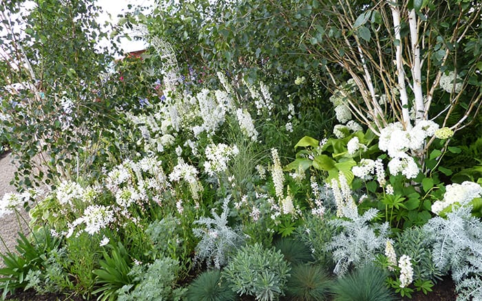 25+ White Flower Plants for the Garden - Outdoor White Flowering