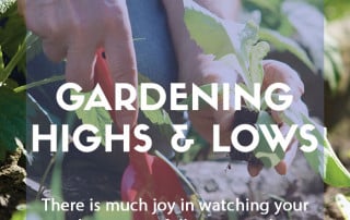 Top ten gardening highs and how to avoid the lows feature