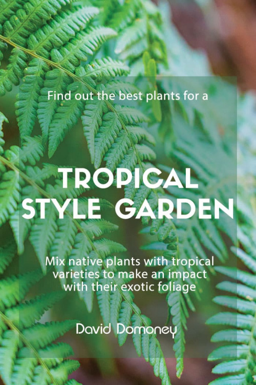 tropical style garden