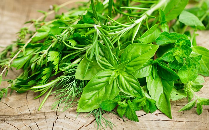 fresh herbs-on-chopping-board basil rosemary