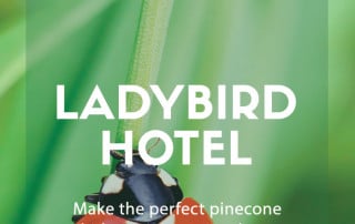 ladybird hotel