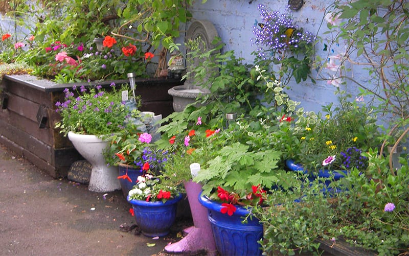 Pots on annie street the UKs best street with front gardens for Cultivation Street campaign