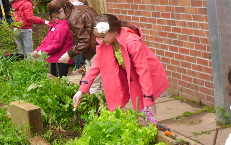 2014 Cultivation Street winners Community and Sustainability