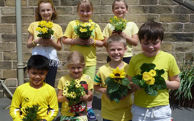 Cultivation Street 2014 Skipton school runner up Cultivation School category