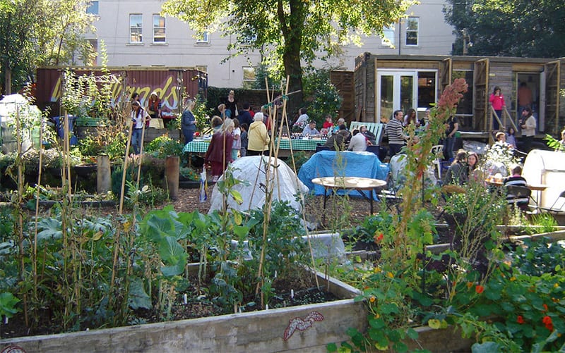 Cultivation Street 2014 Inspiration street winners Woodlands community garden