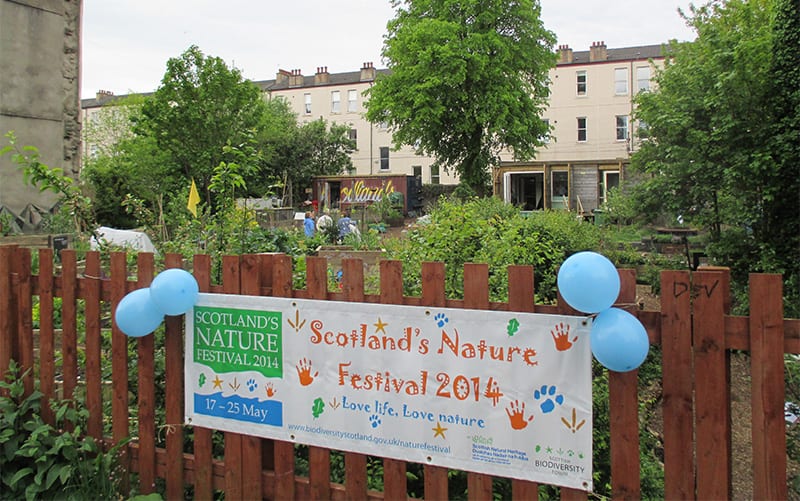 Cultivation Street 2014 woodlands garden winner of Inspiration Street award