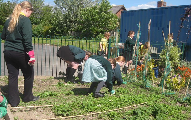 Cultivation Street 2014 school winner ysgol egsob morgan