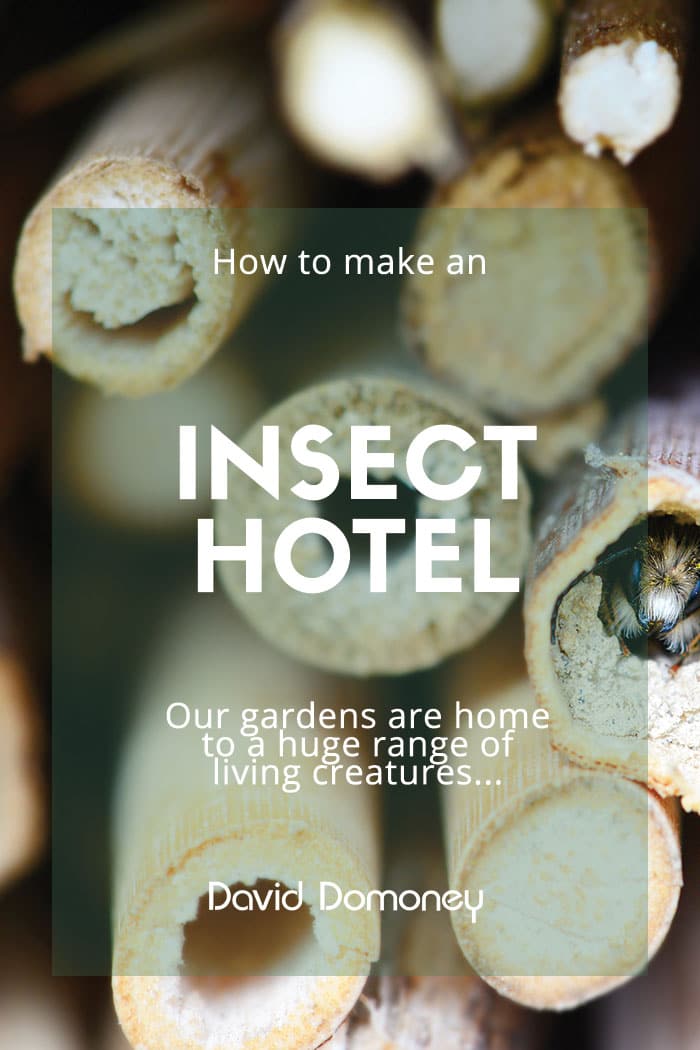 Insect Hotel