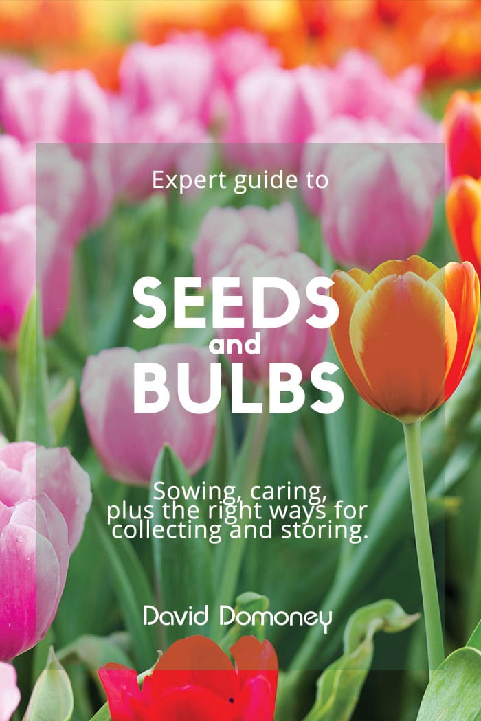 Seeds and Bulbs