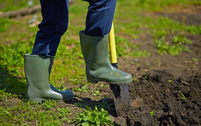 digging into soil