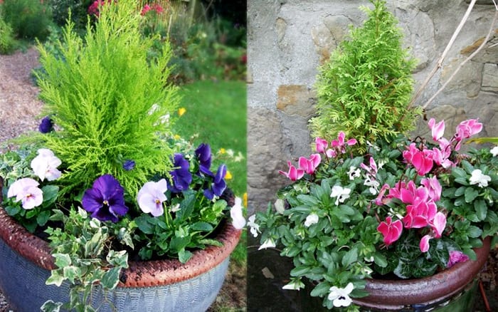 Festive Winter Planters For Your Garden, Winter Garden Pot Ideas Uk
