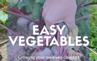 Easy vegetable plants