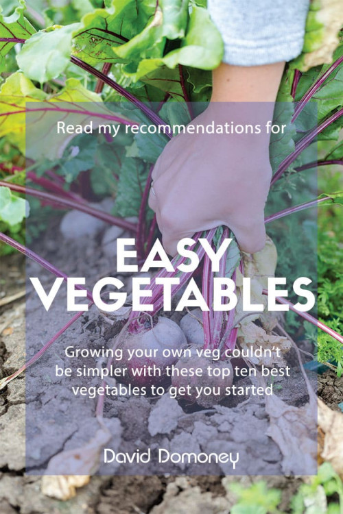 Easy vegetable plants