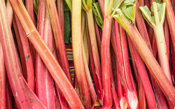 rhubarb growing guide to how grow rhubarb