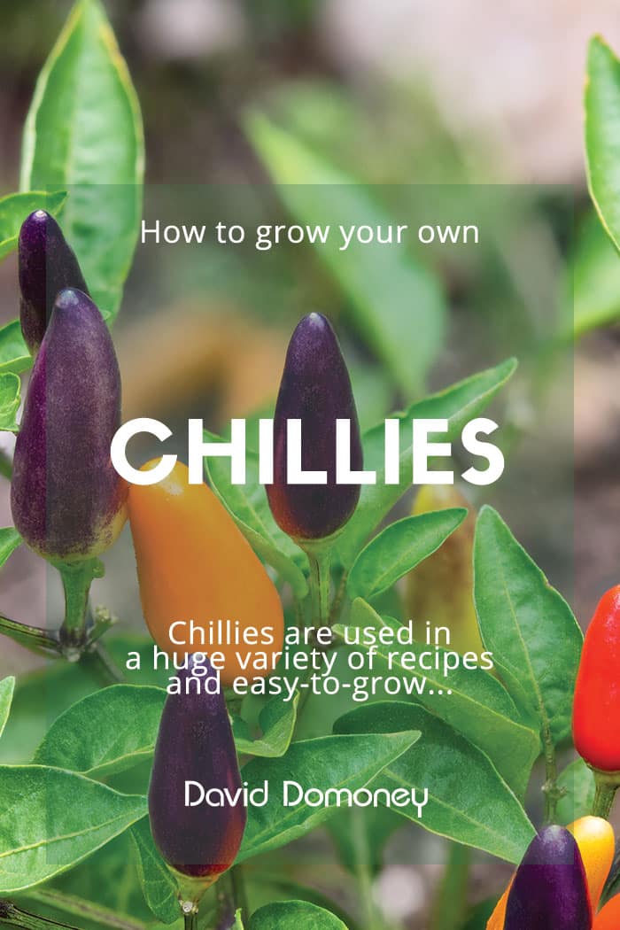 Chillies