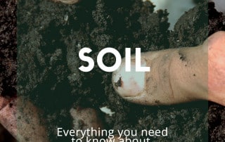 Soil