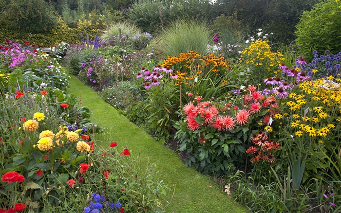 cottage garden borders with grass path