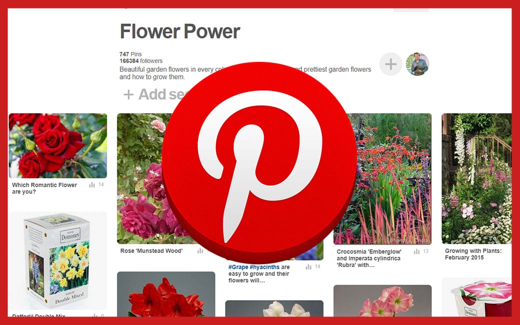 pinterest flower power