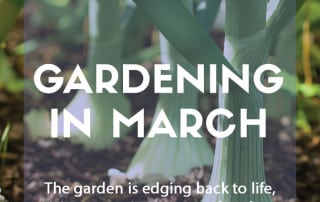 Gardening in March jobs