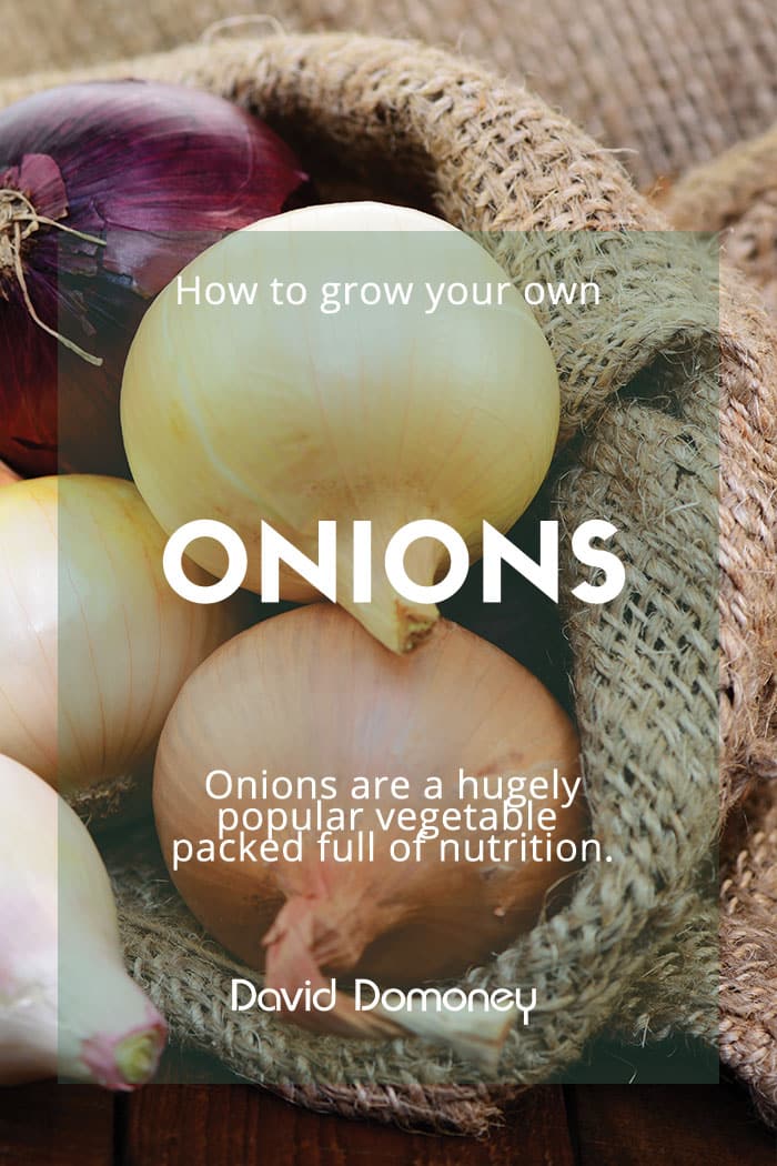 Onions