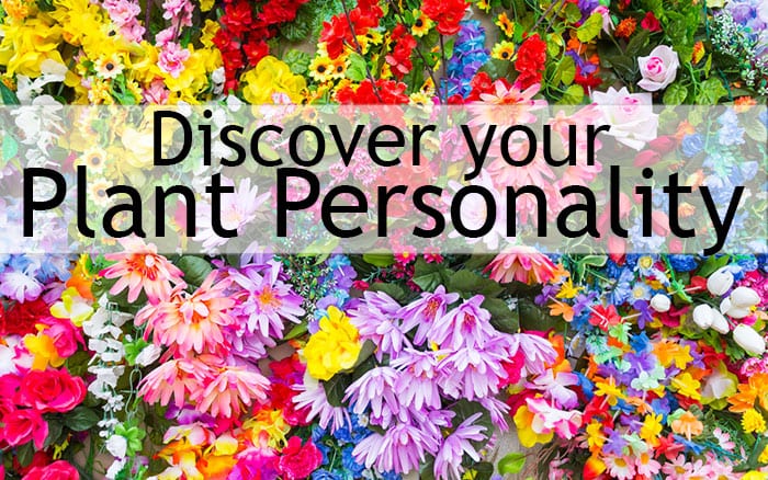 discover-your-plant-personality