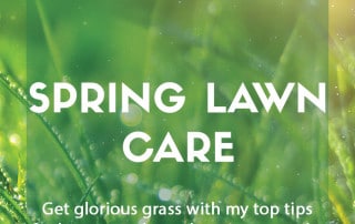 Top tips for spring lawn care