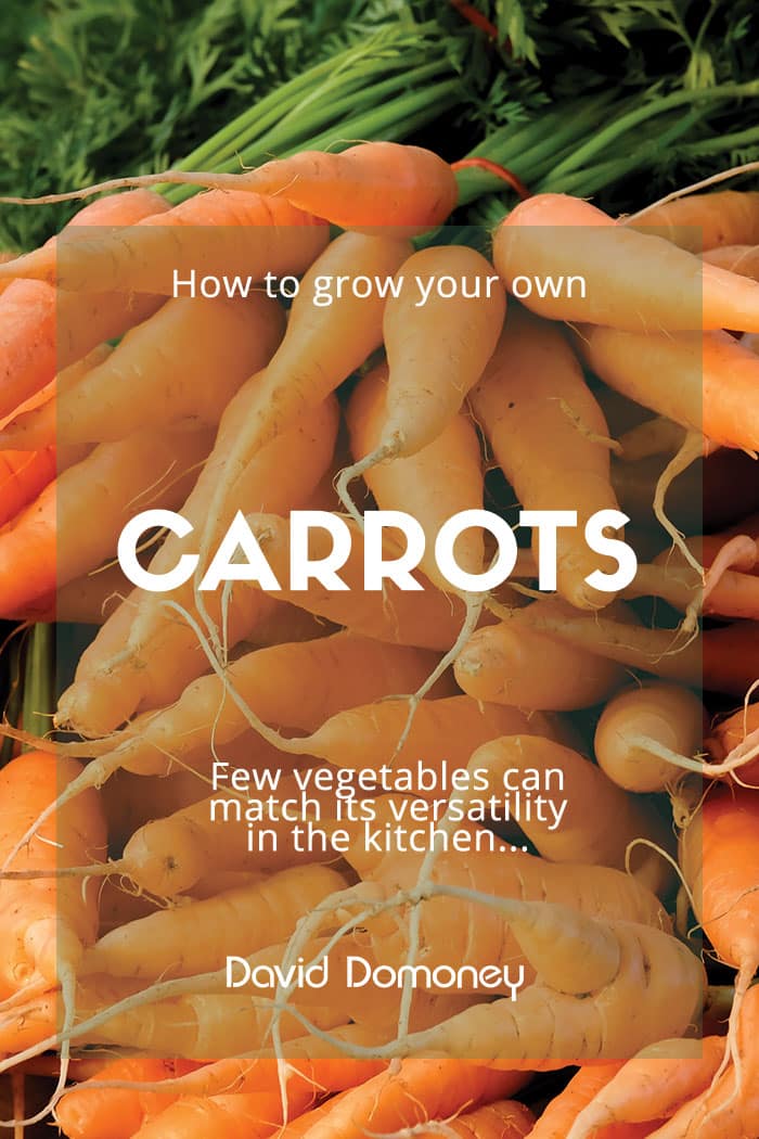 Carrots