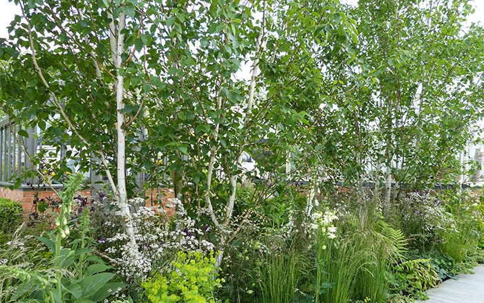 All-white garden