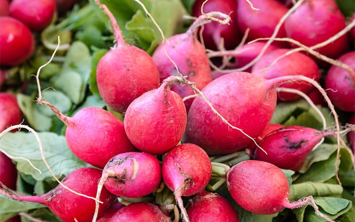 fresh radishes